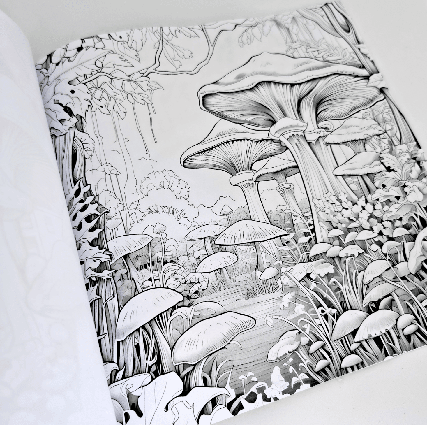 Fungi – Adult Colouring Book - Forget Me Knot